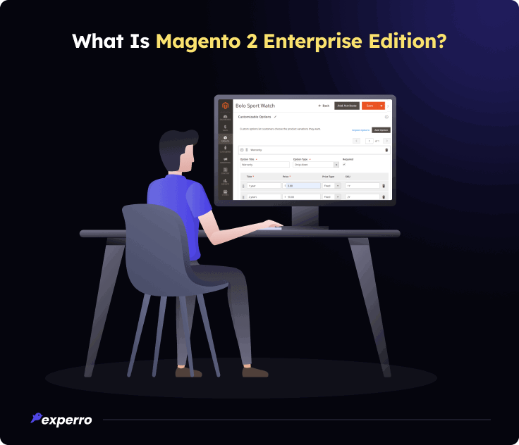 What is Magento 2 Enterprise Edition