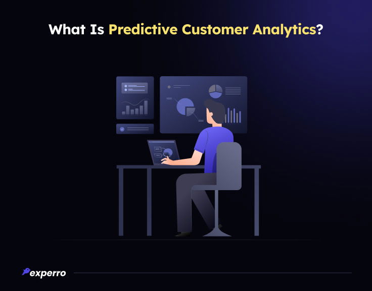 Predictive Customer Analytics Meaning