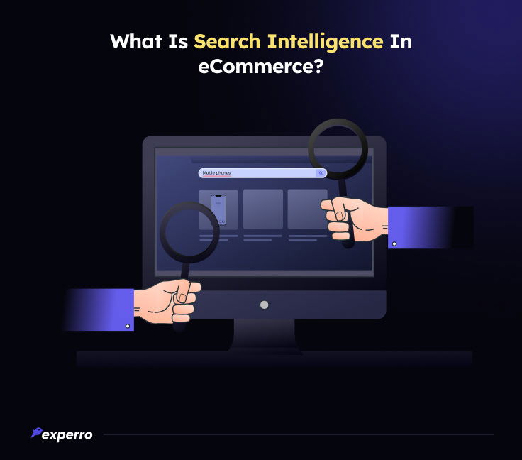 Search Intelligence in eCommerce Explanation