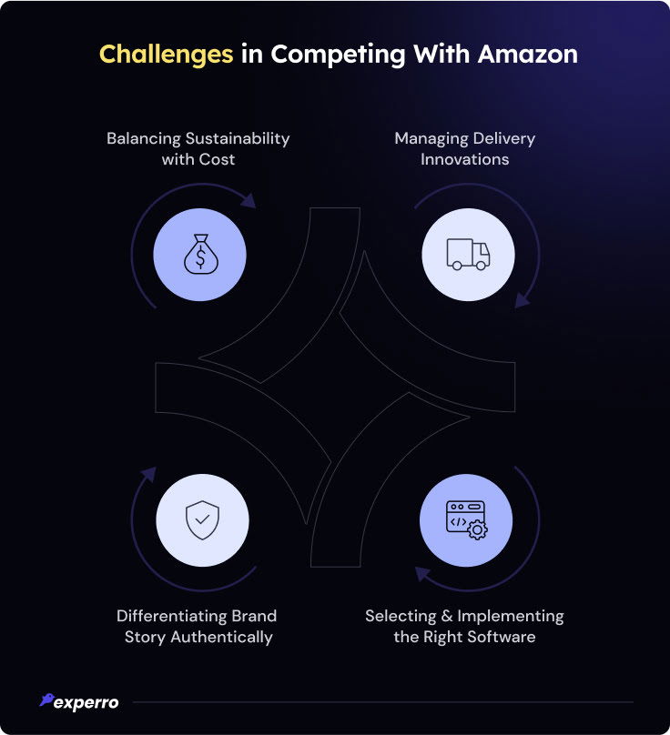 Challenges In Competing With Amazon