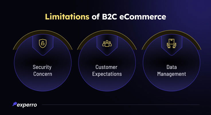 Limitations of B2C eCommerce 