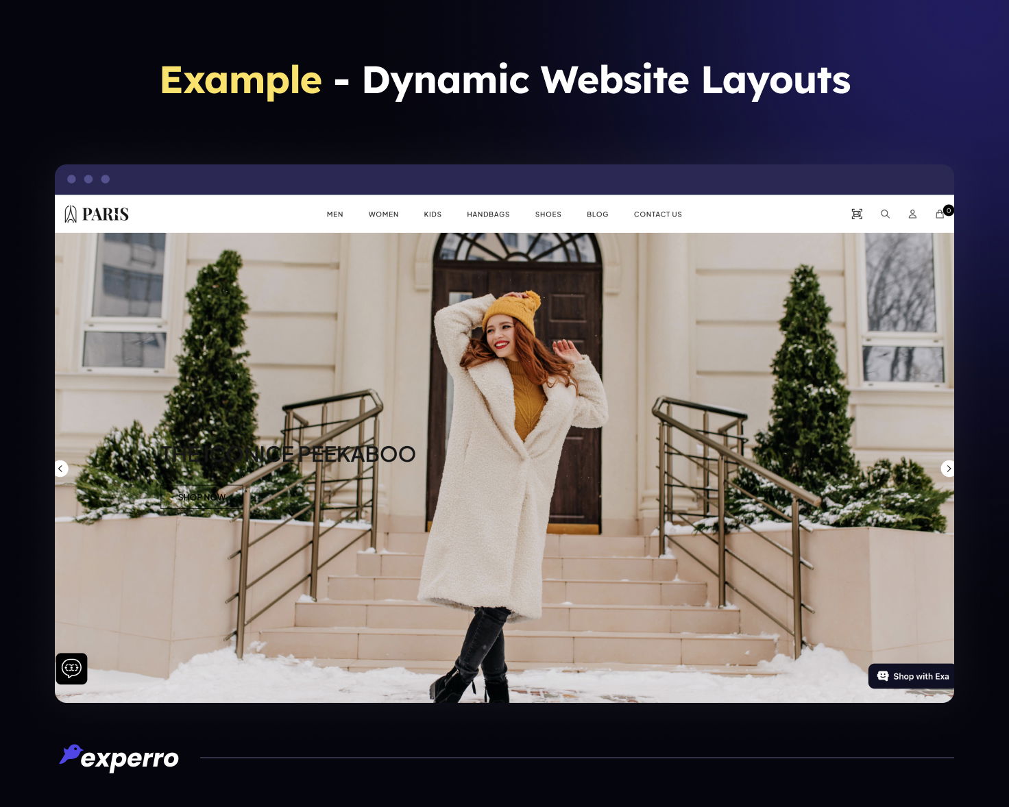 Example - Dynamic Website Layouts